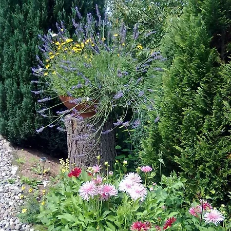 Apartmán Sylvias Ranch