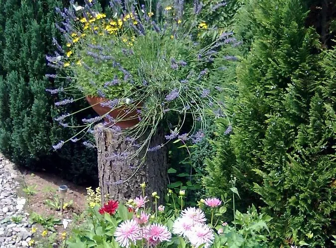 Lägenhet Sylvias Ranch